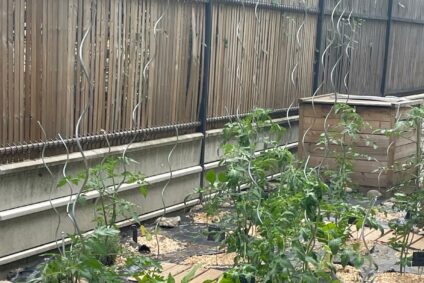 Le jardin thérapeutique
