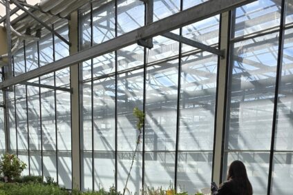 🌿 Sortie thérapeutique à la Serre Raffin de Chaponnay