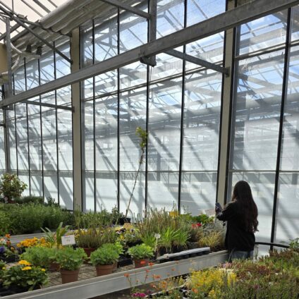 🌿 Sortie thérapeutique à la Serre Raffin de Chaponnay
