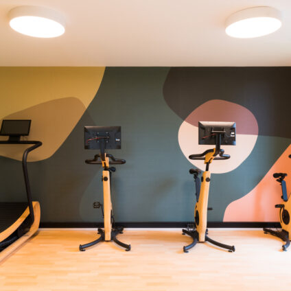 Activité physique adaptée (APA)